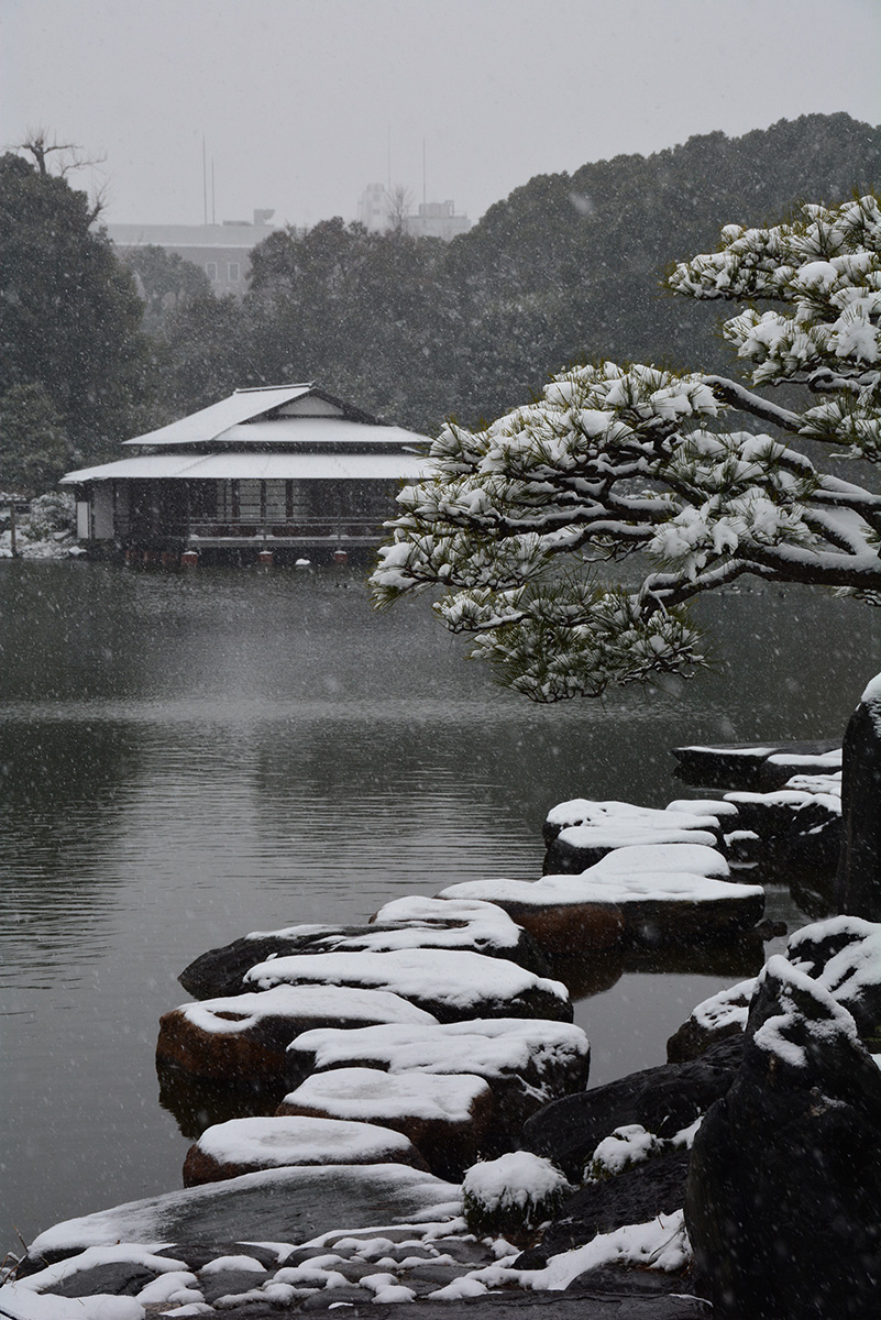 雪の清澄庭園