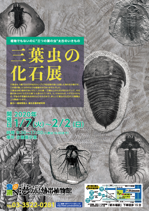 【終了】夢の島熱帯植物館1月開催イベント