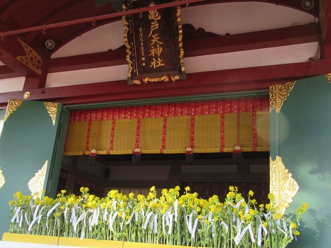 【終了】菜種御供（なたねごく）祭【亀戸天神社】 
