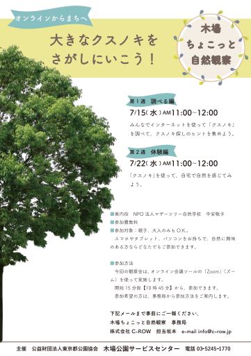 【終了】木場ちょこっと自然観察「大きなクスノキをさがしにいこう！」