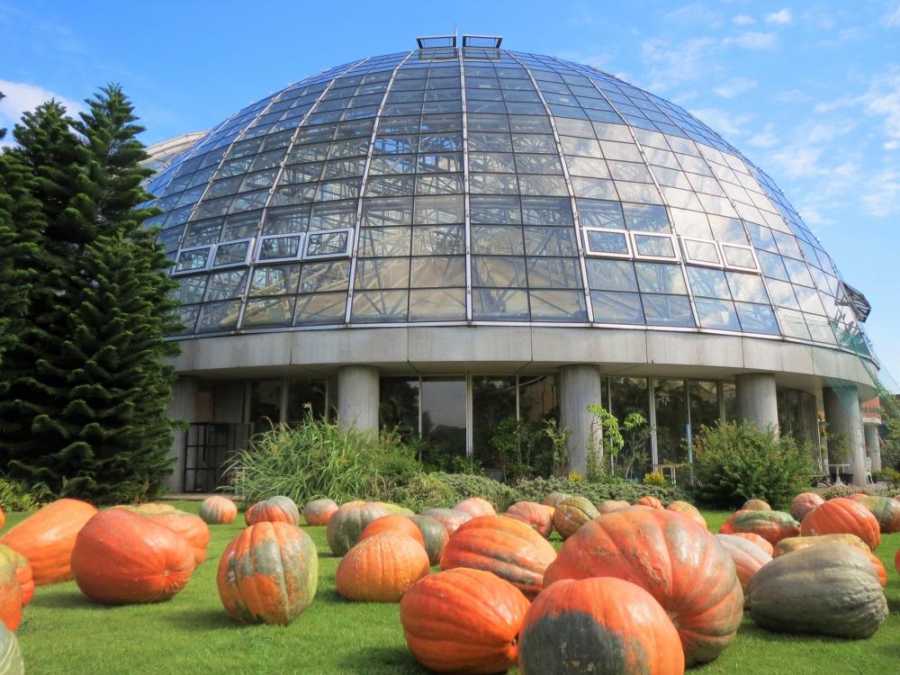 【終了】夢の島熱帯植物館10月開催イベント