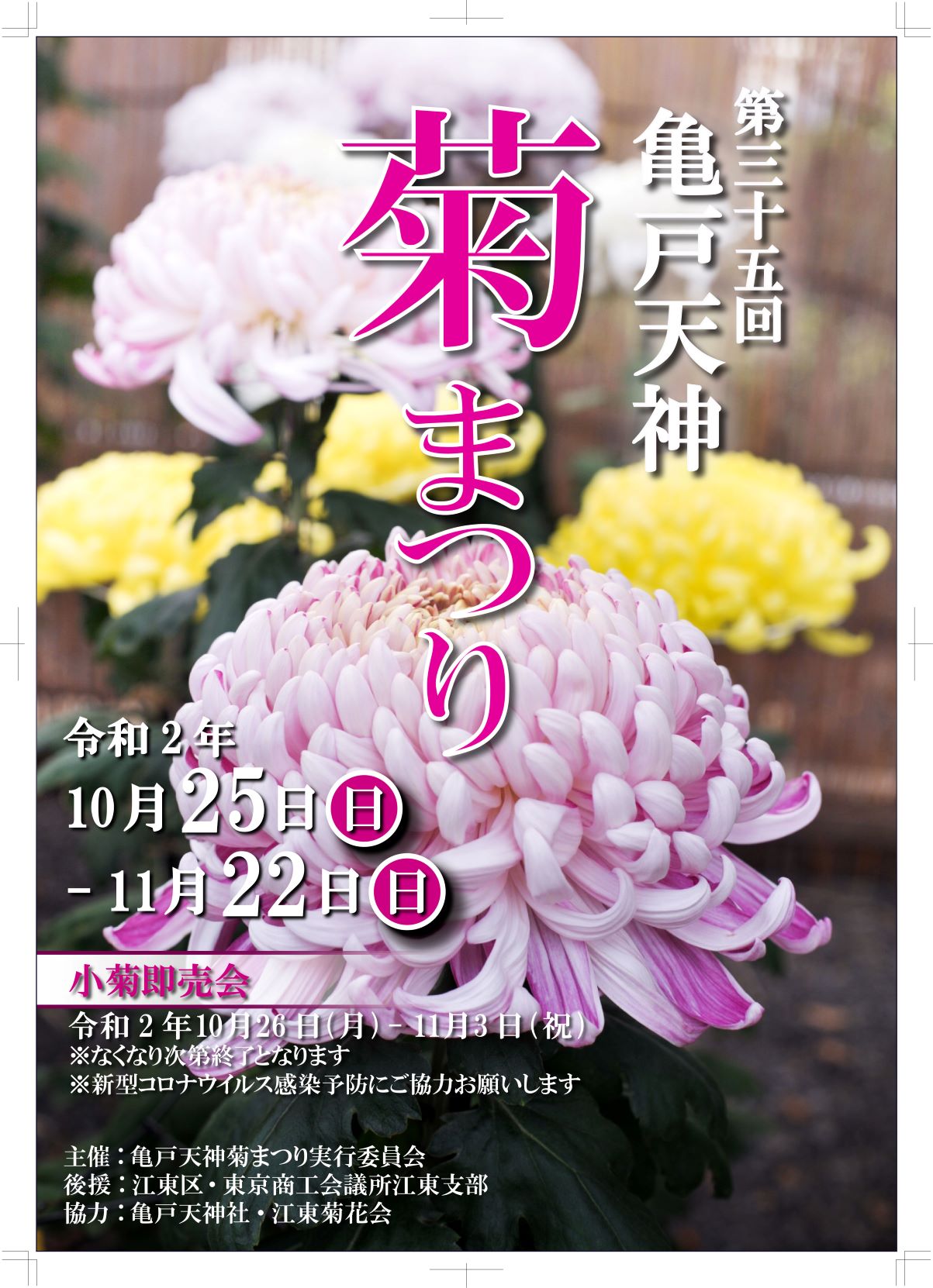 【終了】第35回　亀戸天神菊まつり