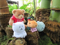 【終了】ぬいぐるみのおとまり会2021【夢の島熱帯植物館】