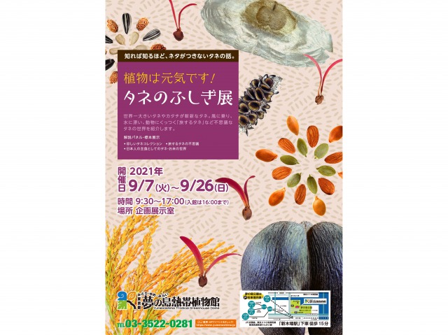【終了】夢の島熱帯植物館9月開催イベント