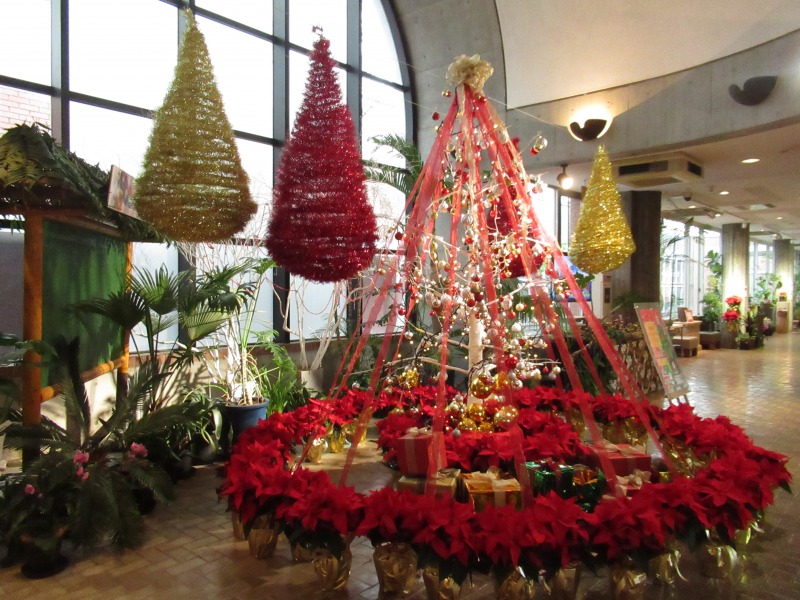 【終了】夢の島熱帯植物館12月開催イベント