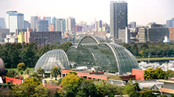 【終了】夢の島熱帯植物館4月開催イベント