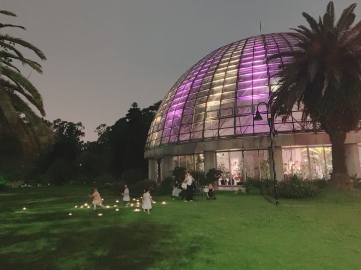 【終了】夢の島熱帯植物館7月開催イベント