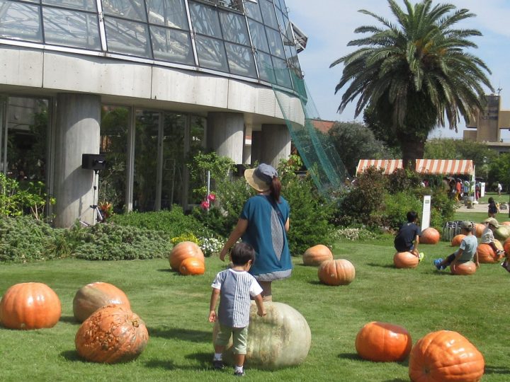 【終了】夢の島熱帯植物館10月開催イベント
