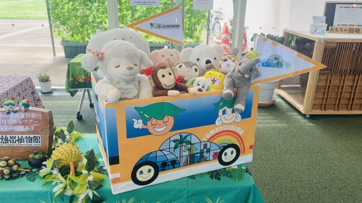 【終了】夢の島熱帯植物館11月開催イベント