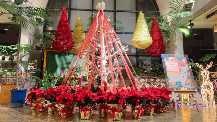 【終了】夢の島熱帯植物館12月開催イベント