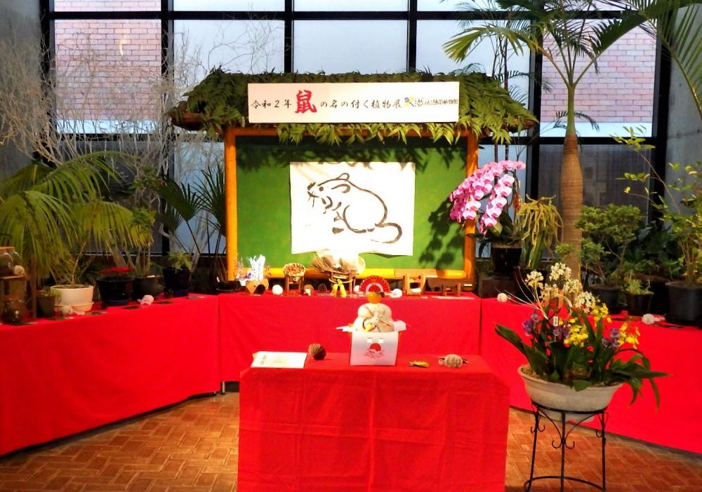 【終了】夢の島熱帯植物館1月開催イベント