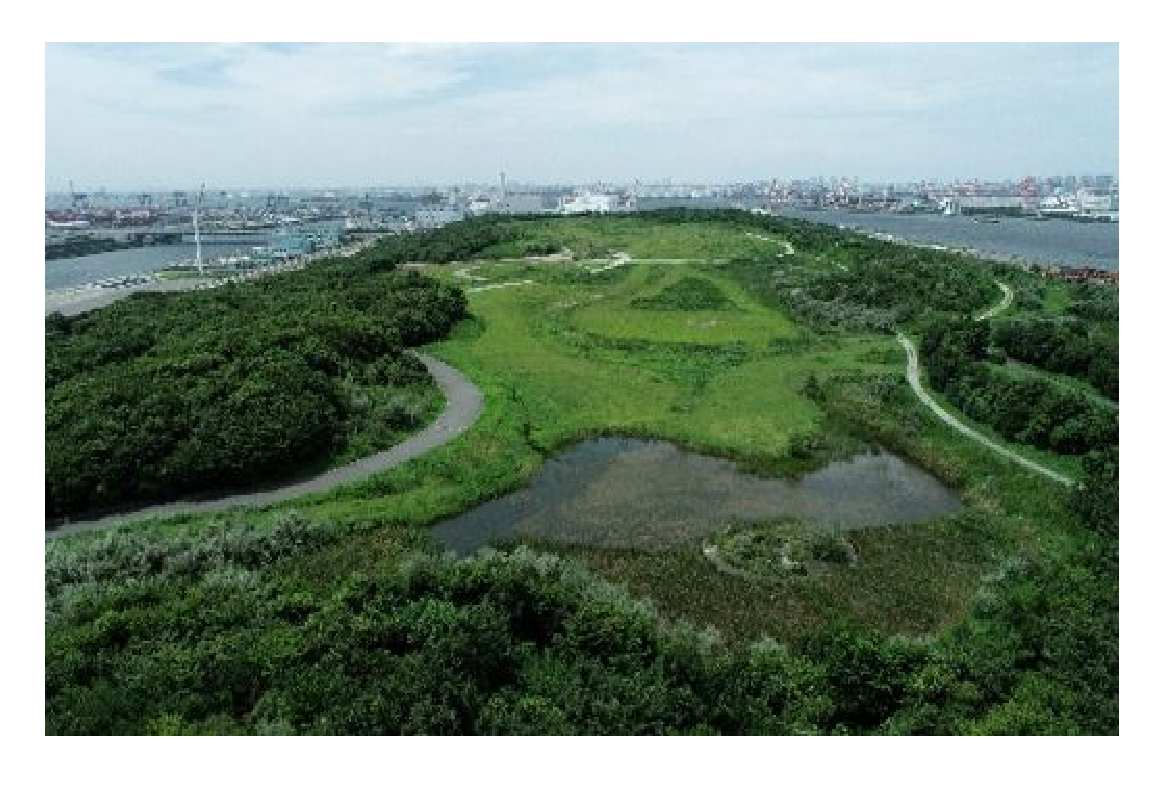 【終了】海の森公園プレオープンイベント