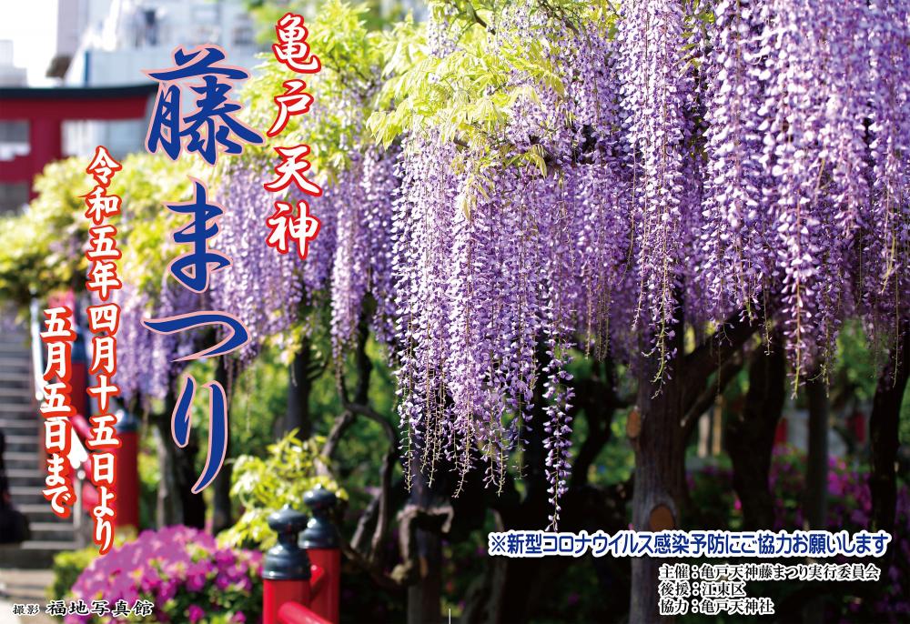 【終了】亀戸天神藤まつり