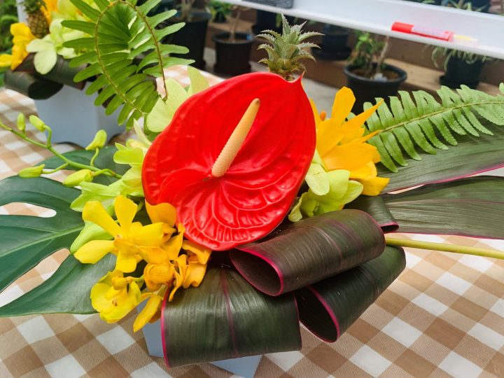 【終了】夢の島熱帯植物館6月開催イベント