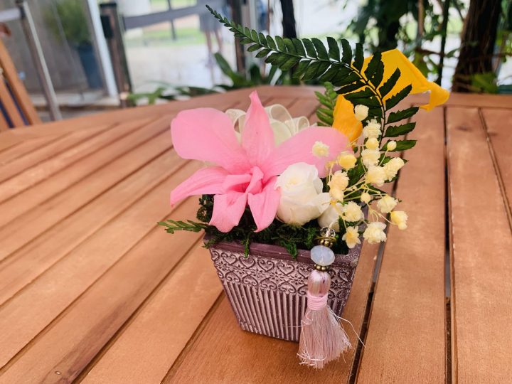 【終了】夢の島熱帯植物館　8月開催イベント