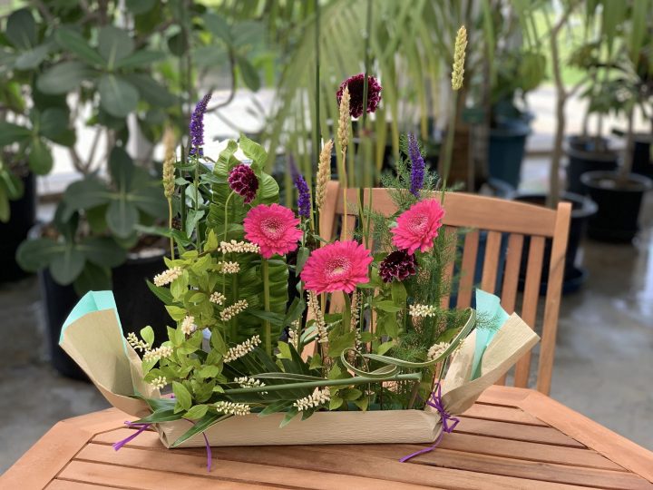 【終了】夢の島熱帯植物館　9月開催イベント