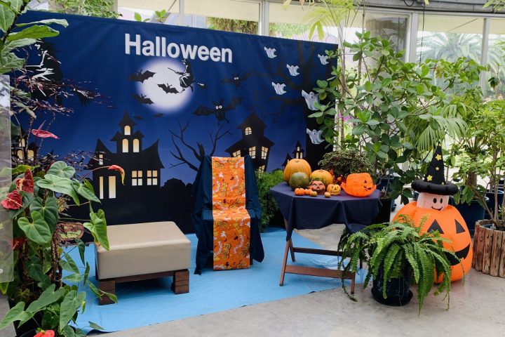 【終了】夢の島熱帯植物館　10月開催イベント