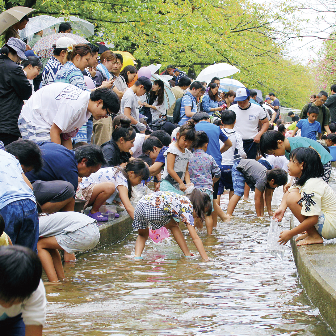 【終了】第39回 江東区民まつり 砂町地区大会