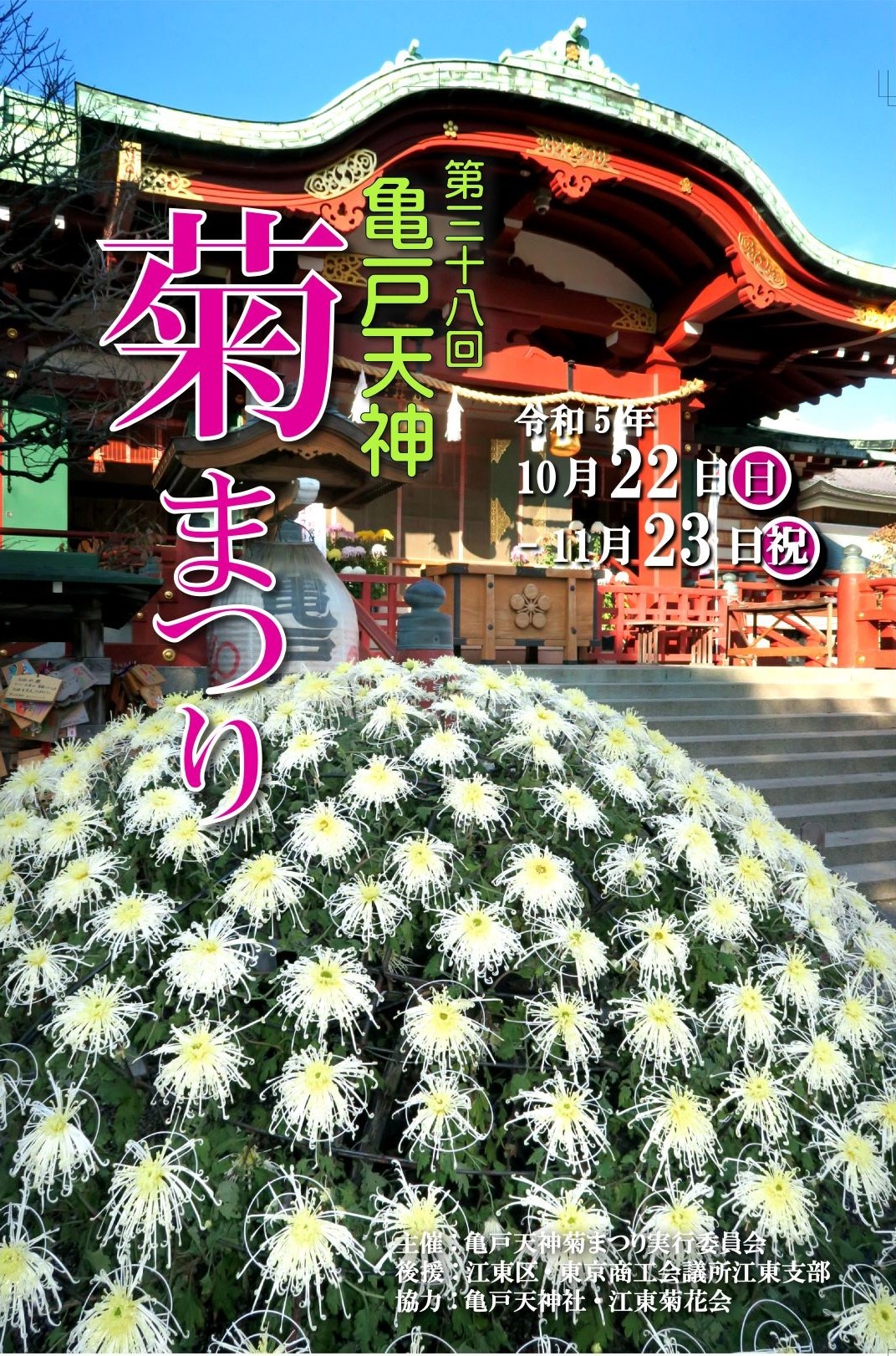 【終了】第38回　亀戸天神菊まつり