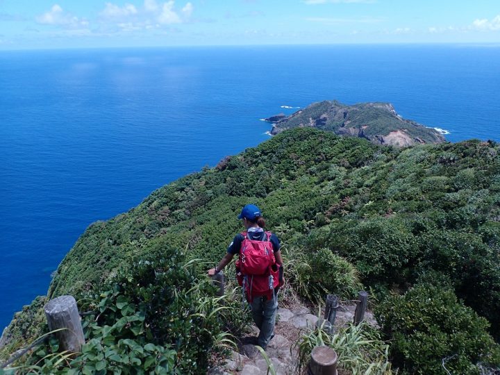 【終了】夢の島熱帯植物館　3月開催イベント