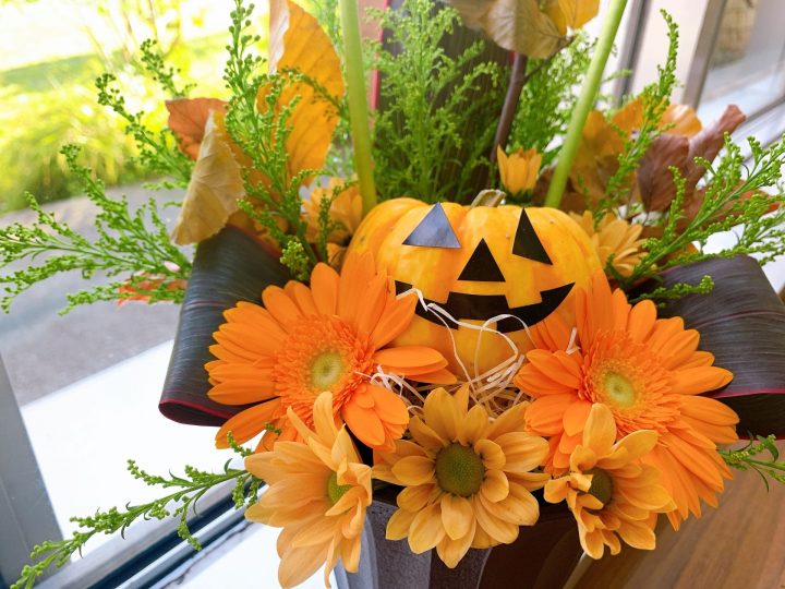 【終了】夢の島熱帯植物館　10月開催イベント
