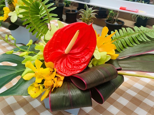 【終了】夢の島熱帯植物館　6月開催イベント