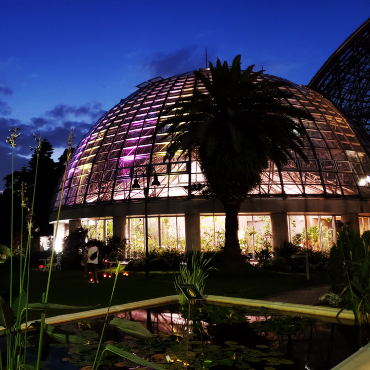 【終了】夢の島熱帯植物館　7月開催イベント