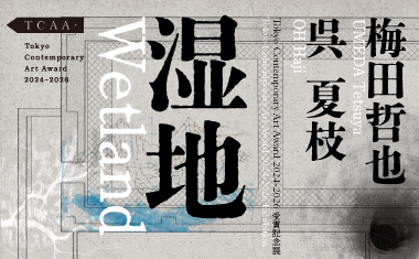 【終了】Tokyo Contemporary Art Award 2024&ndash;2026 受賞記念展「湿地」【東京都現代美術館】