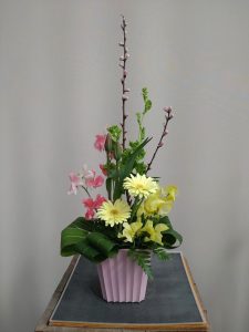 【終了】夢の島熱帯植物館　3月開催イベント