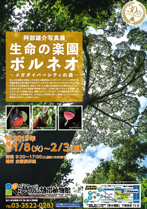 【終了】夢の島熱帯植物館2月開催イベント