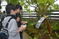 【終了】夢の島熱帯植物館3月開催イベント