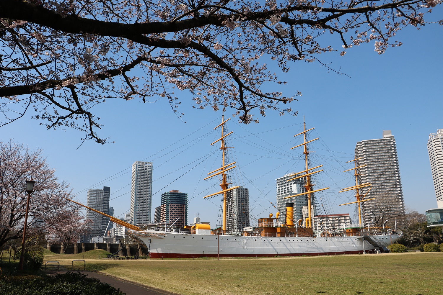【終了】まちあるきイベントツアー「明治丸見学と桜めぐり」