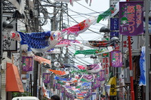 【終了】第25回亀戸・下町こいのぼり祭り