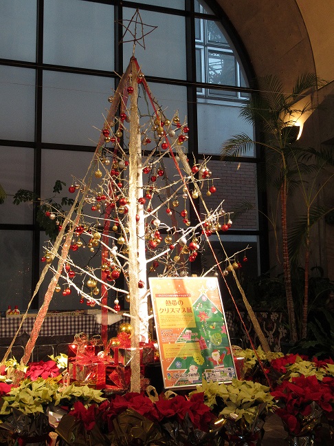 【終了】夢の島熱帯植物館12月開催イベント