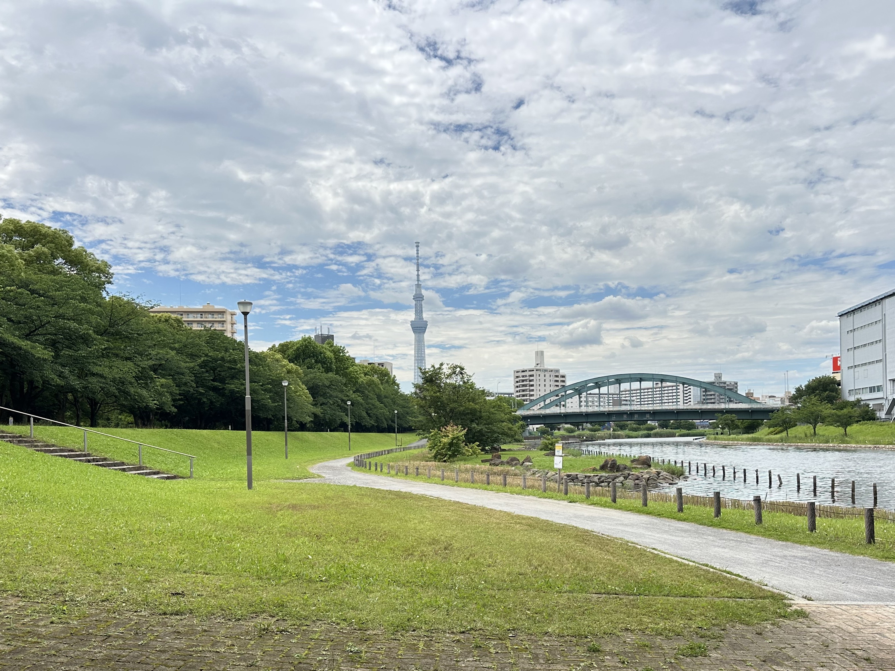 旧中川水辺公園 画像2