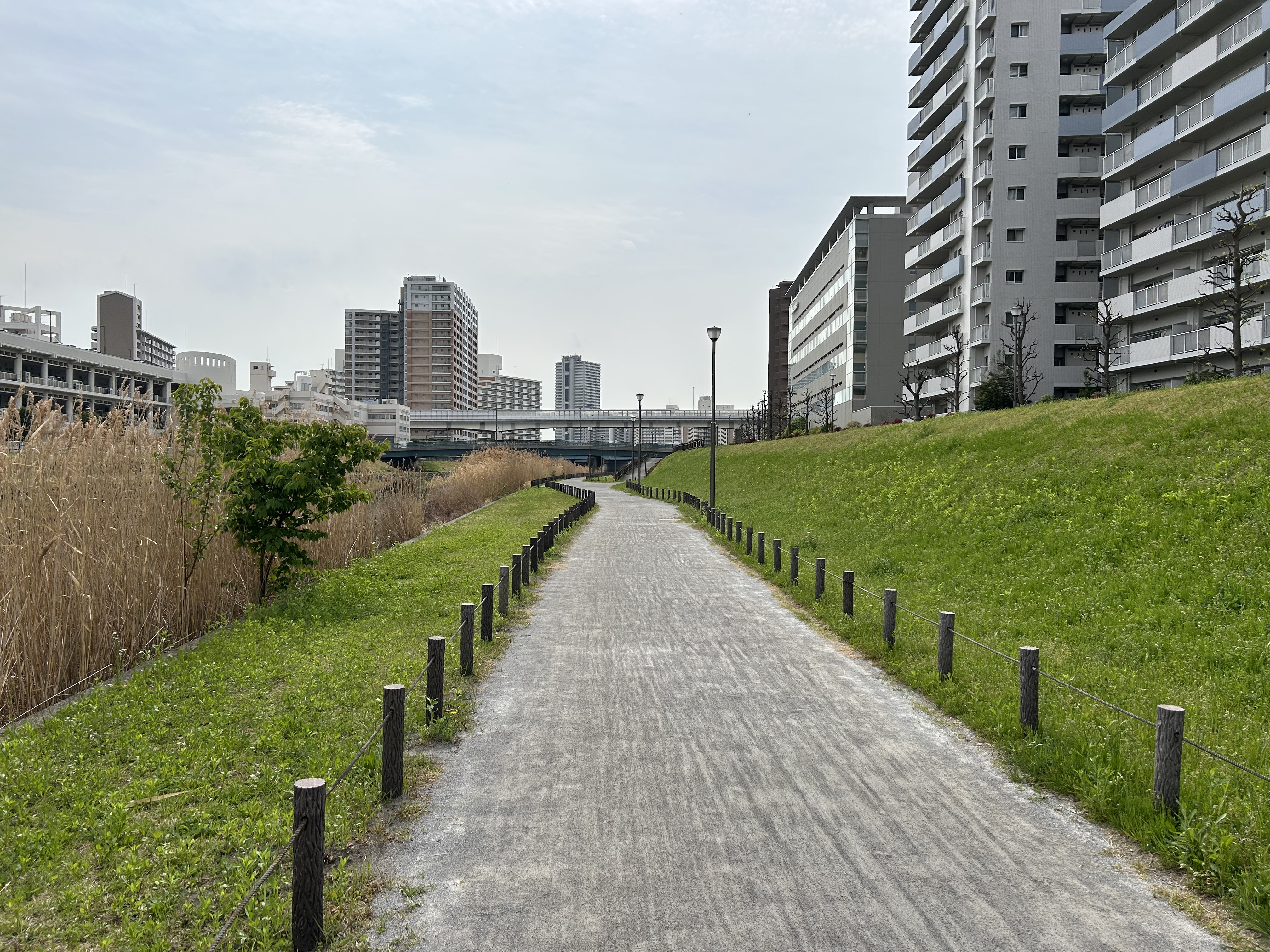 旧中川水辺公園 画像3