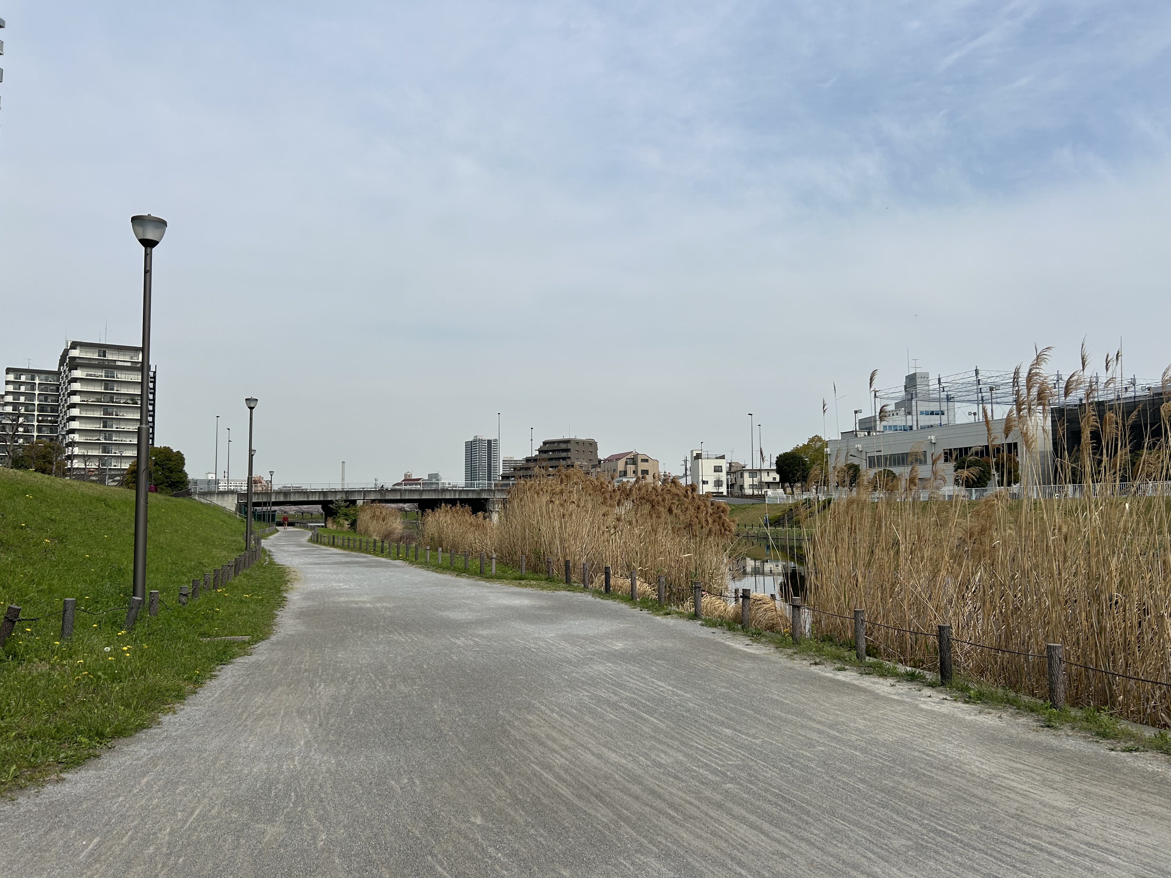 旧中川水辺公園 画像4