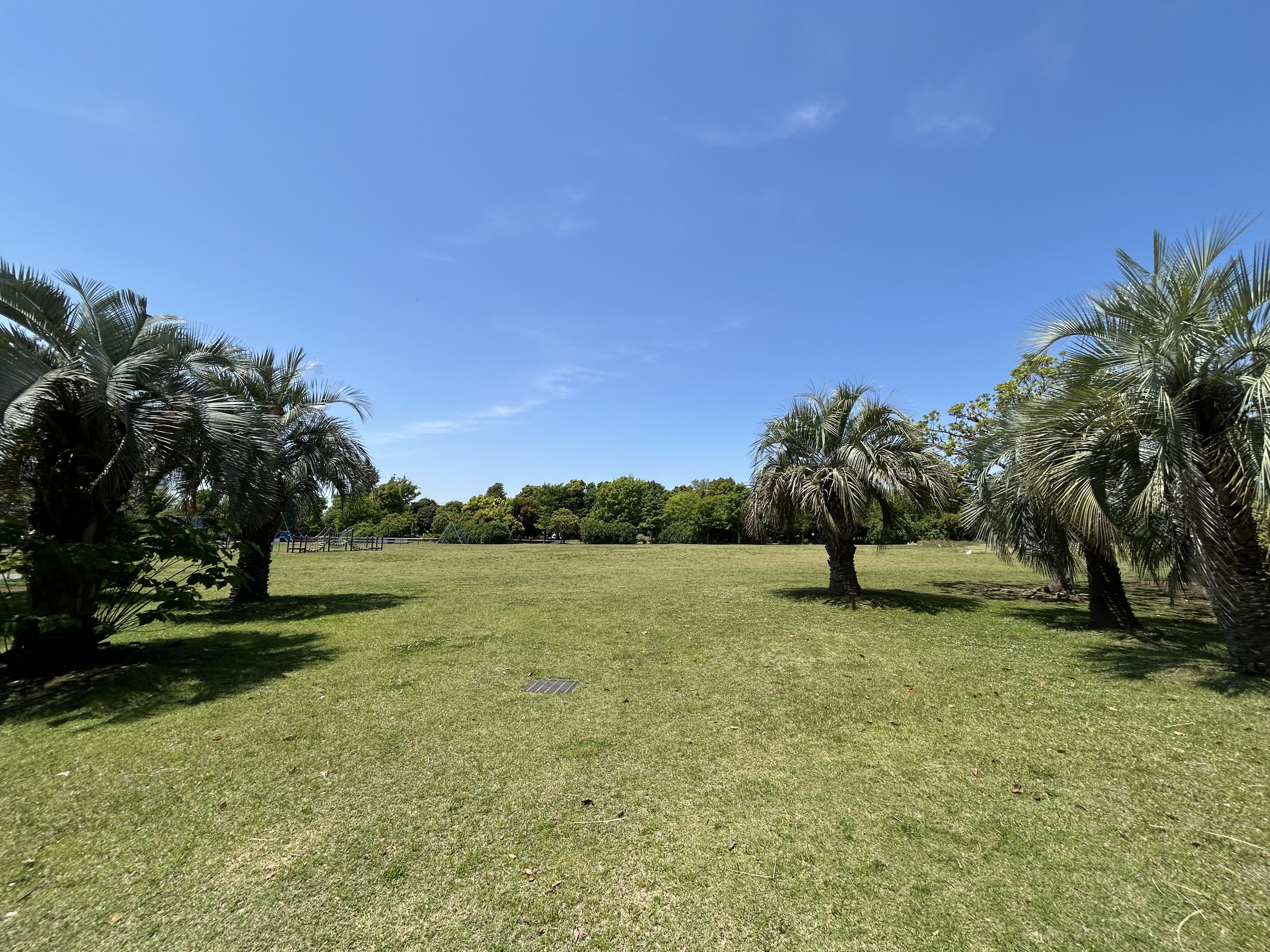 若洲公園