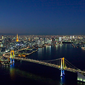 ヘリコプタークルージング（東京ヘリポート発着）