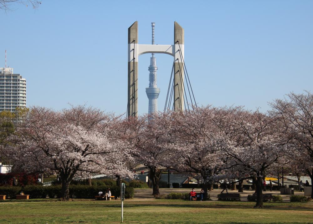 木場公園