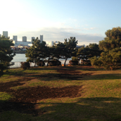 新木場公園