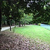 青海中央ふ頭公園