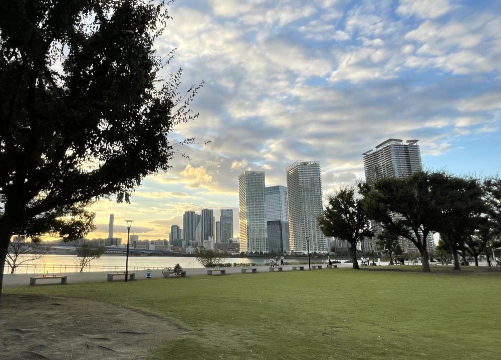 豊洲公園・春海橋公園