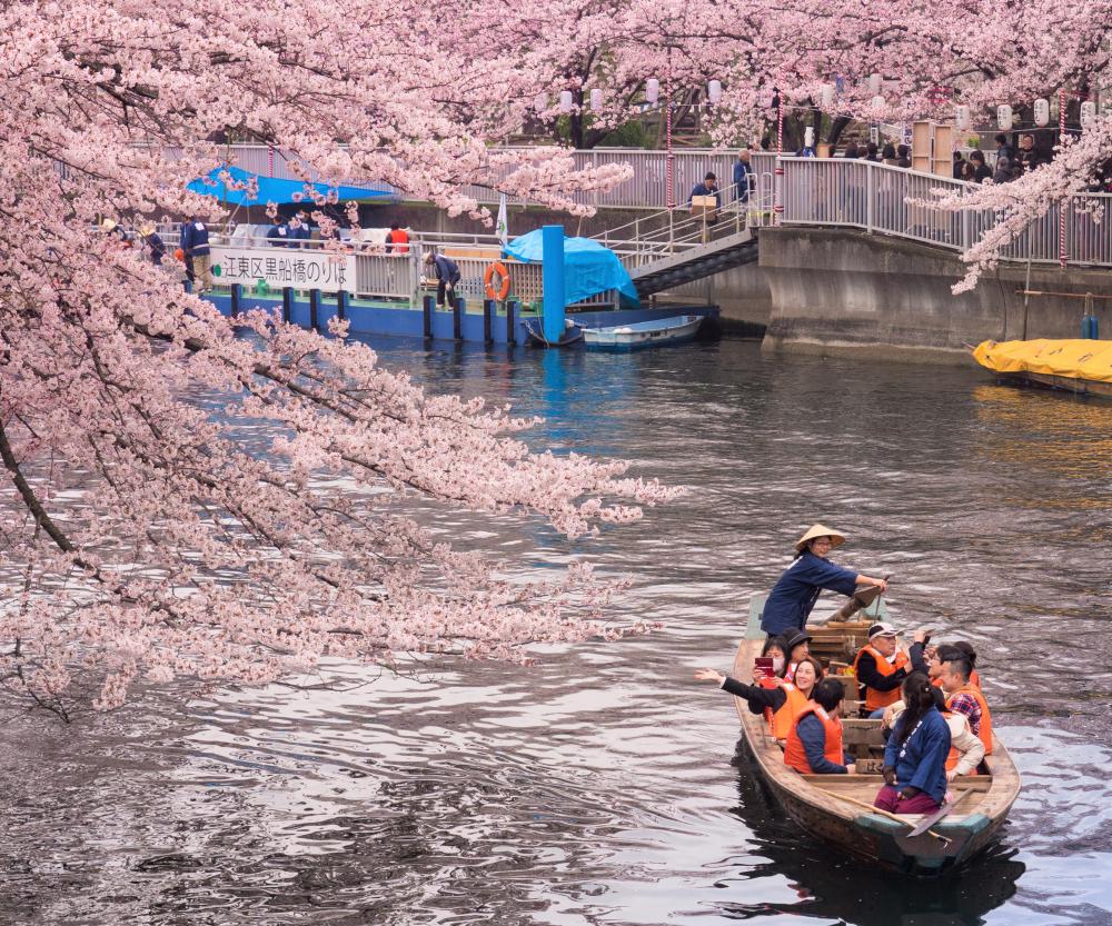 大横川護岸（黒船橋周辺）