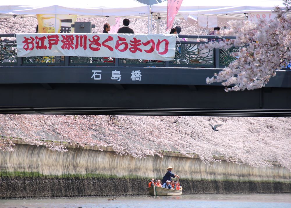 ソメイヨシノ（大横川護岸） 【江東 花めぐり】春を楽しむ