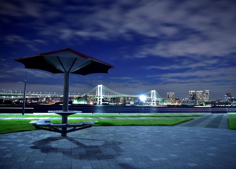 豊洲ぐるり公園 映える 夜景スポット