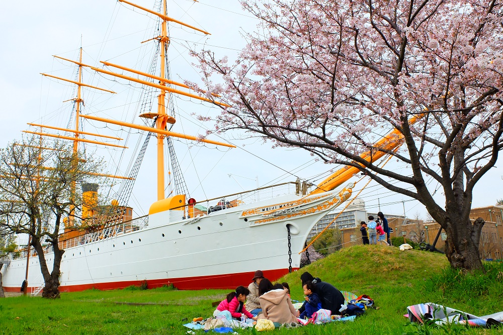 【受付終了】まちあるきイベントツアー
明治丸見学と桜めぐり