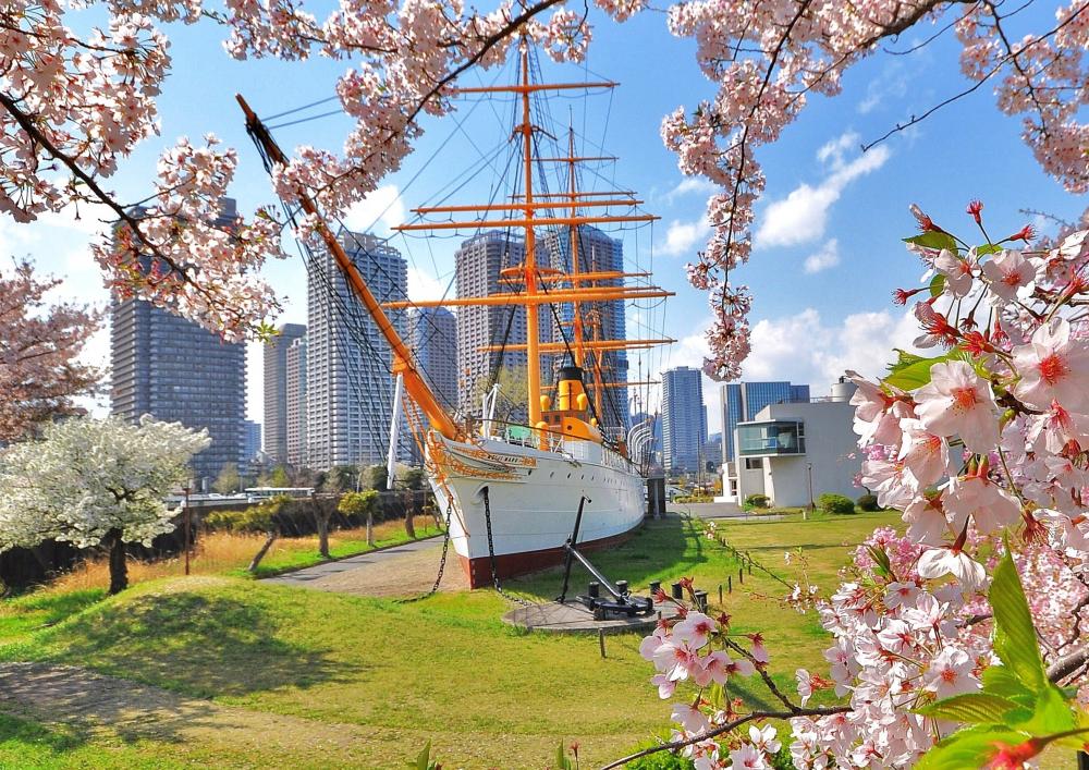 まちあるきイベントツアー「明治丸見学と桜めぐり」