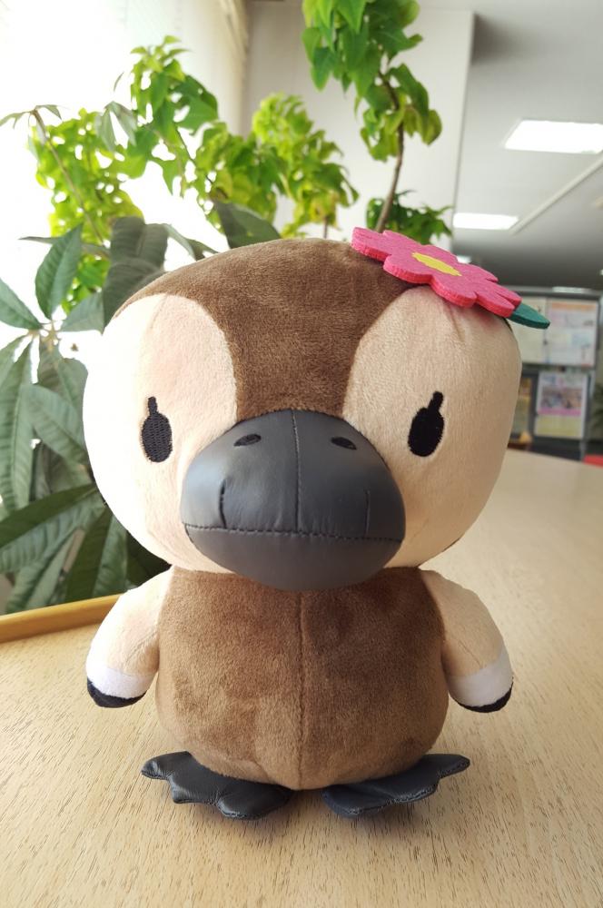 【新発売】コトミちゃん ぬいぐるみ