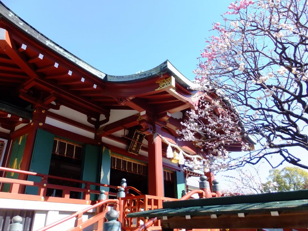 【受付終了】まちあるきイベントツアー　江戸の行楽、梅見三昧